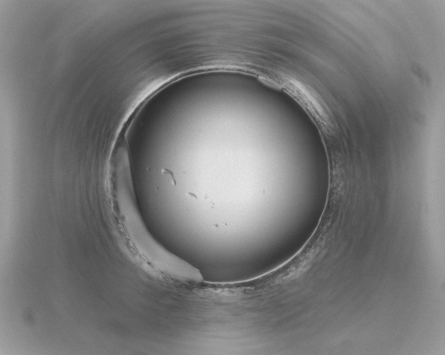 X0000116570900200912101508