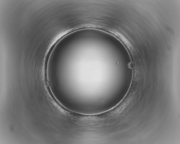 X0000116570902200912101508