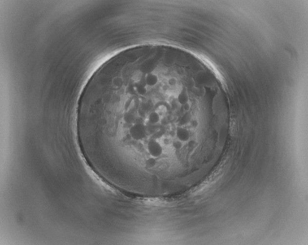 X0000116570903200912101508