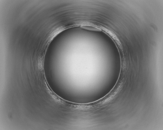 X0000116570905200912101508