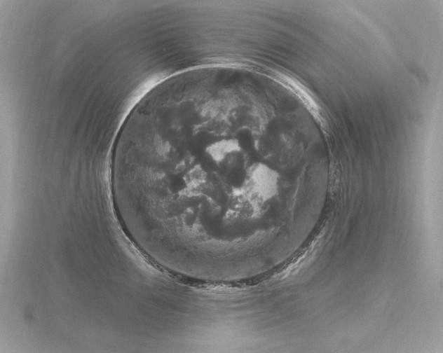 X0000116570907200912101508