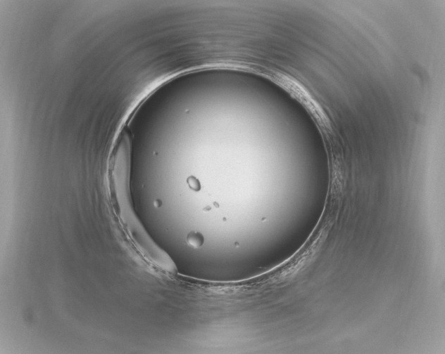 X0000116570908200912101508