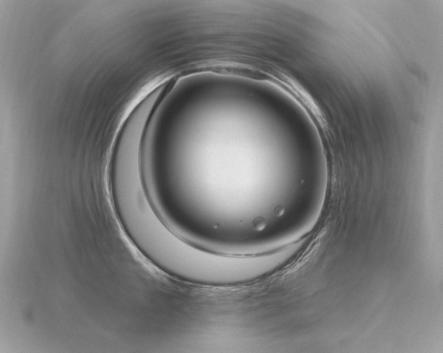 X0000116570909200912101508