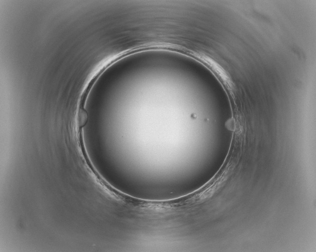 X0000116570910200912101508