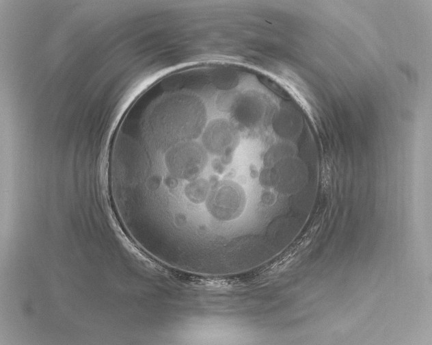 X0000116570911200912101508