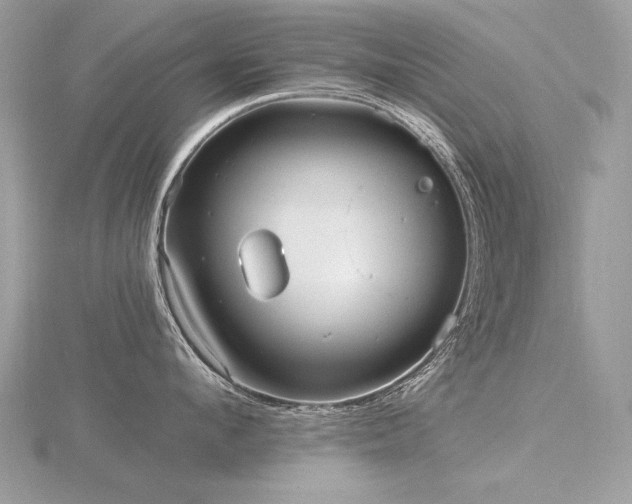 X0000116570912200912101508