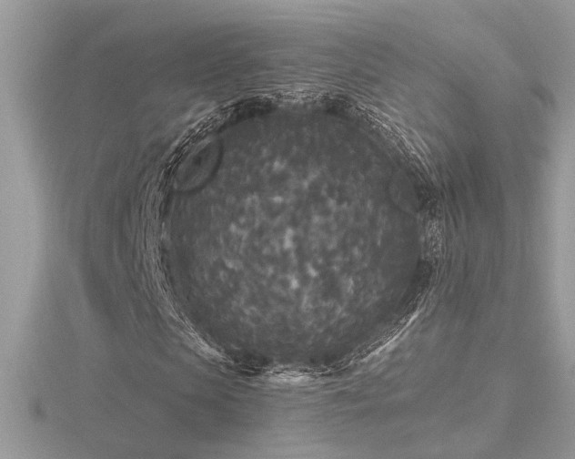 X0000116570913200912101507