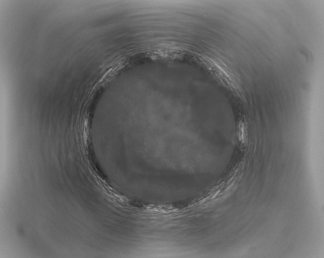 X0000116570915200912101507