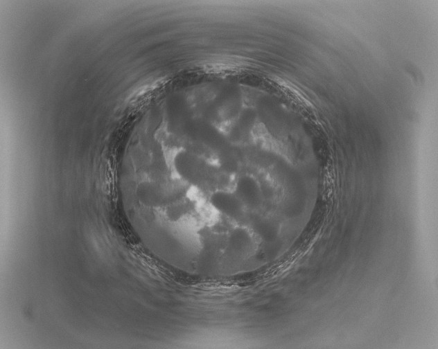 X0000116570917200912101507