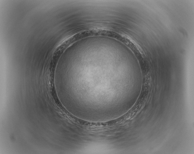 X0000116570919200912101507