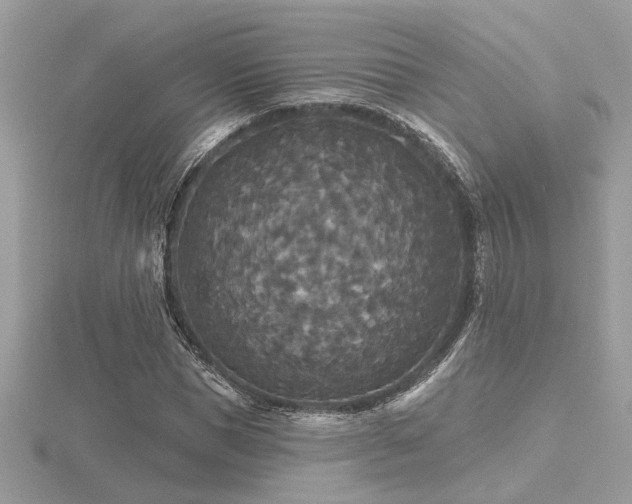 X0000116570921200912101507