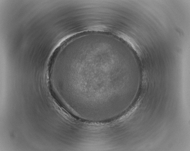 X0000116570923200912101507