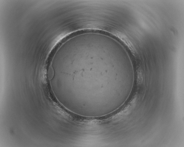 X0000116570926200912101507