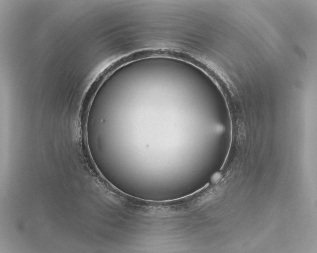 X0000116570927200912101507