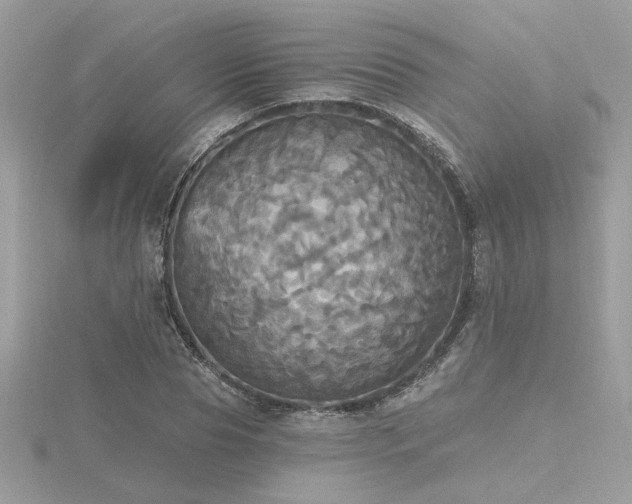 X0000116570929200912101507