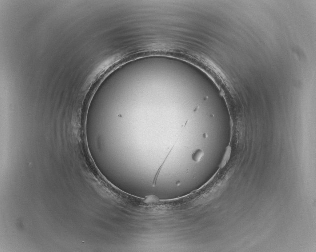 X0000116570930200912101507