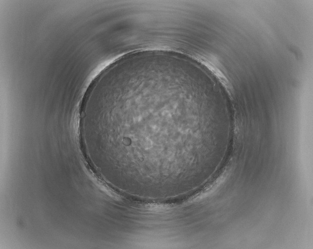 X0000116570933200912101507