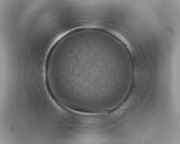 X0000116570935200912101507