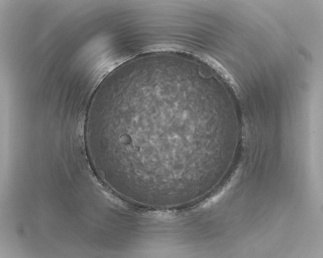 X0000116570937200912101507