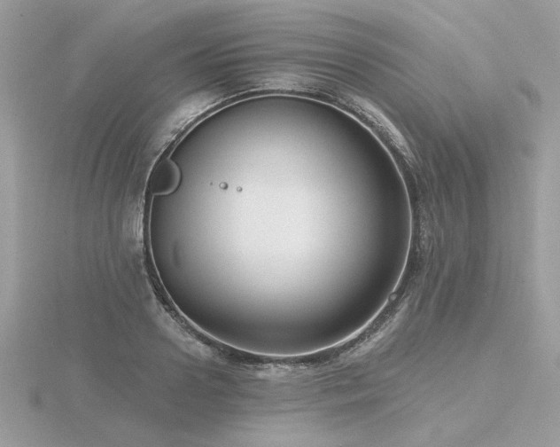 X0000116570938200912101507