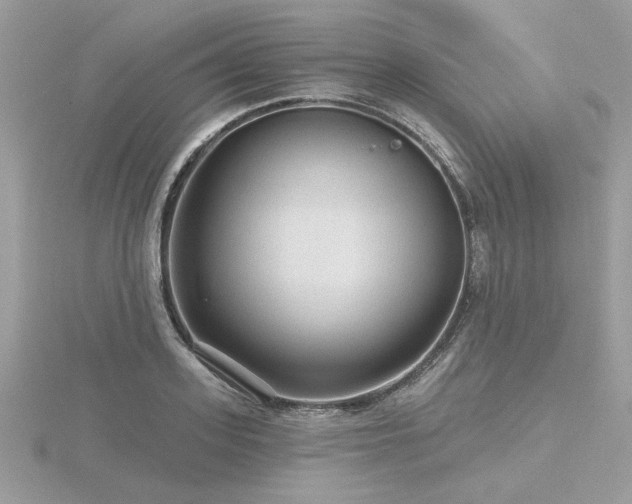 X0000116570939200912101507