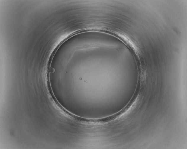 X0000116570941200912101507