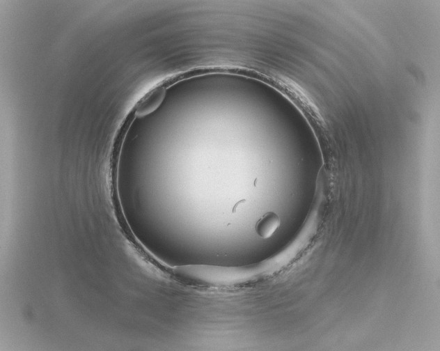 X0000116570942200912101507