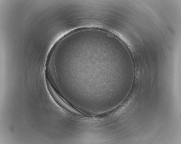 X0000116570943200912101507