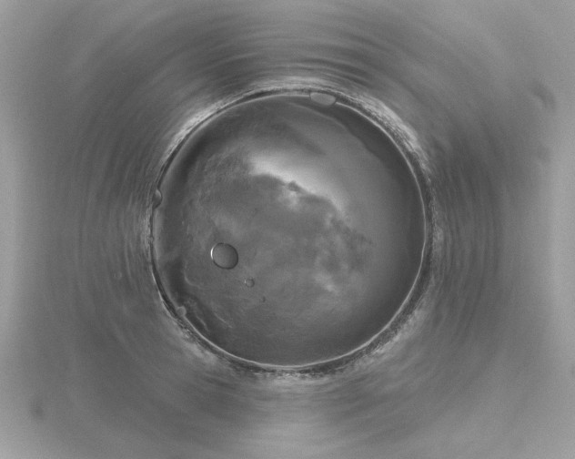 X0000116570945200912101507