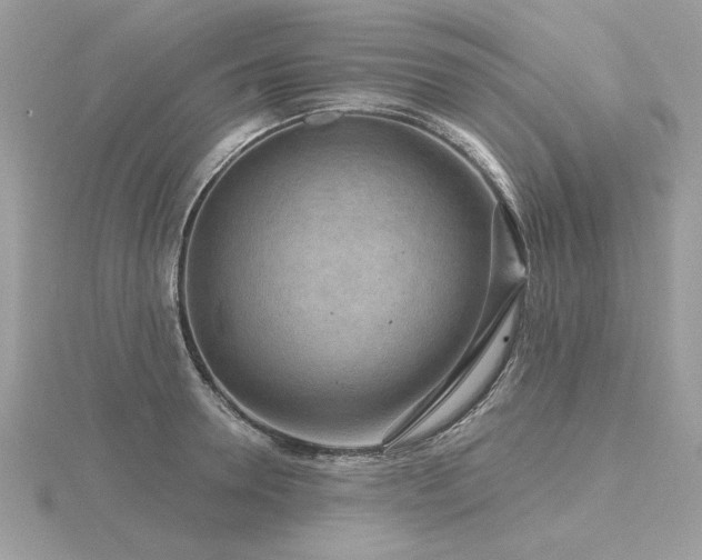 X0000116570946200912101508