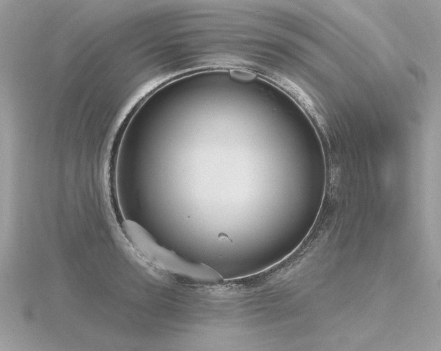 X0000116570947200912101508