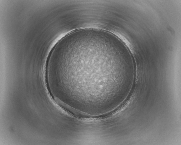 X0000116570949200912101508