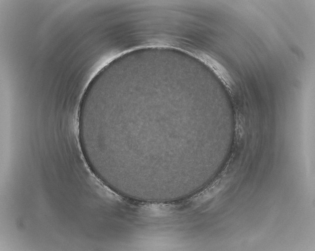 X0000116570950200912101508