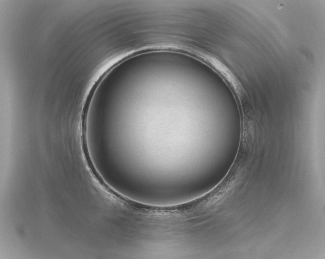 X0000116570951200912101508