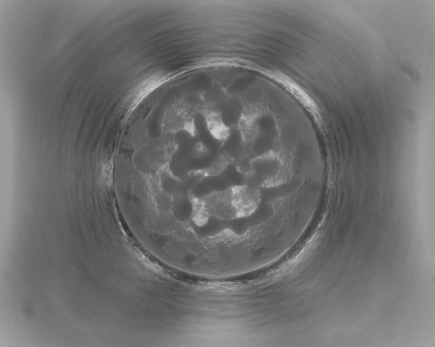 X0000116570953200912101508