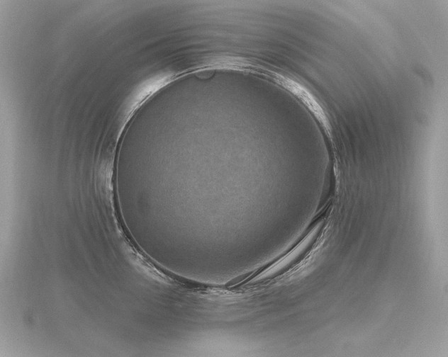 X0000116570954200912101508