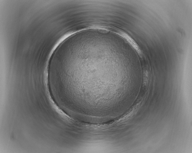 X0000116570955200912101508