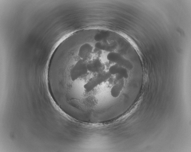 X0000116570957200912101508