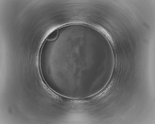 X0000116570958200912101508