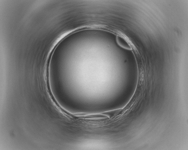 X0000116570959200912101508