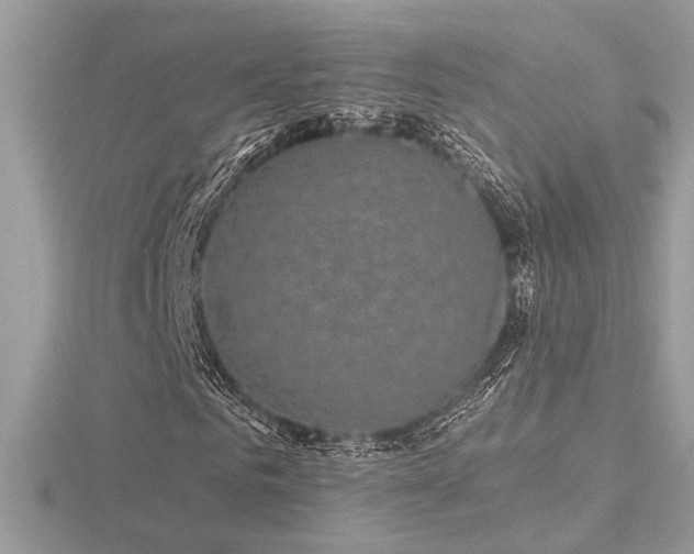 X0000116570961200912101507