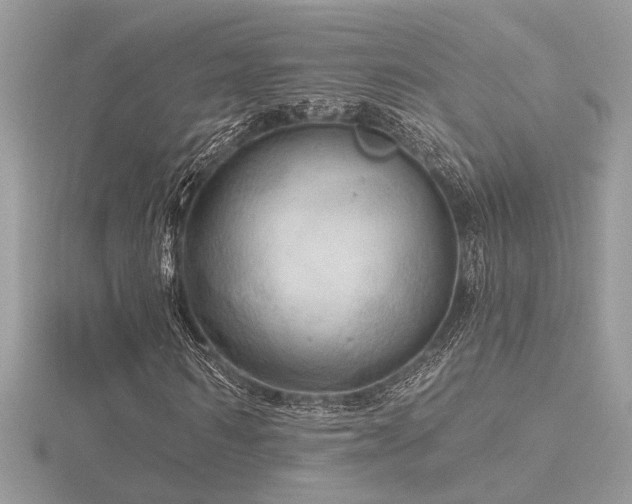 X0000116570962200912101507