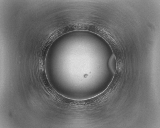 X0000116570964200912101507