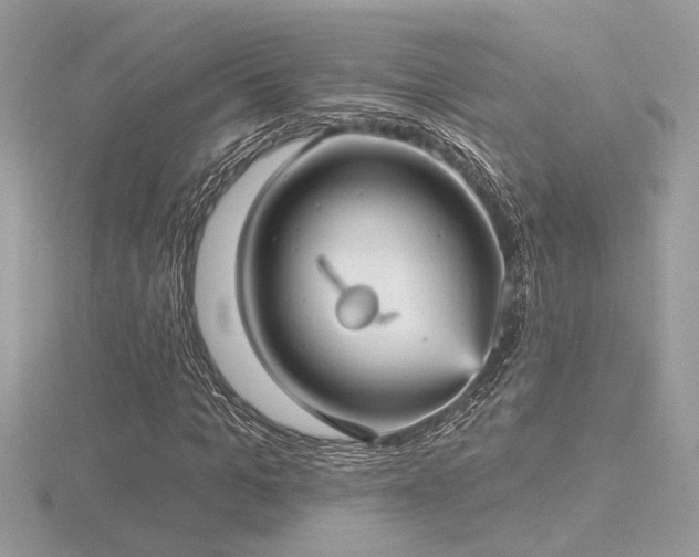 X0000116570965200912101507