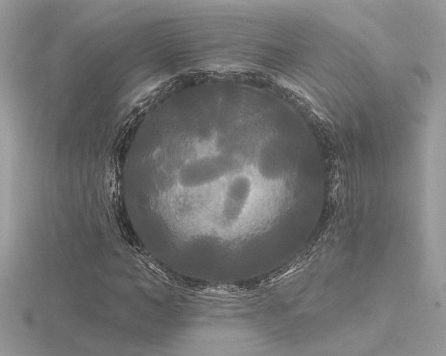 X0000116570966200912101507