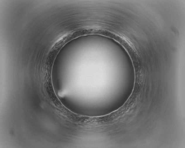 X0000116570967200912101507