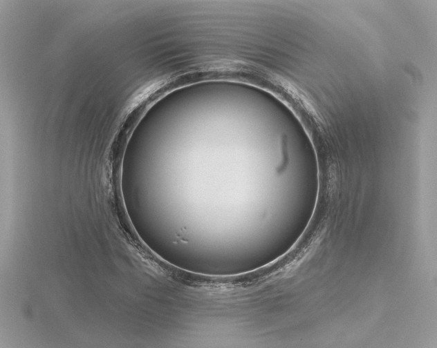 X0000116570970200912101507