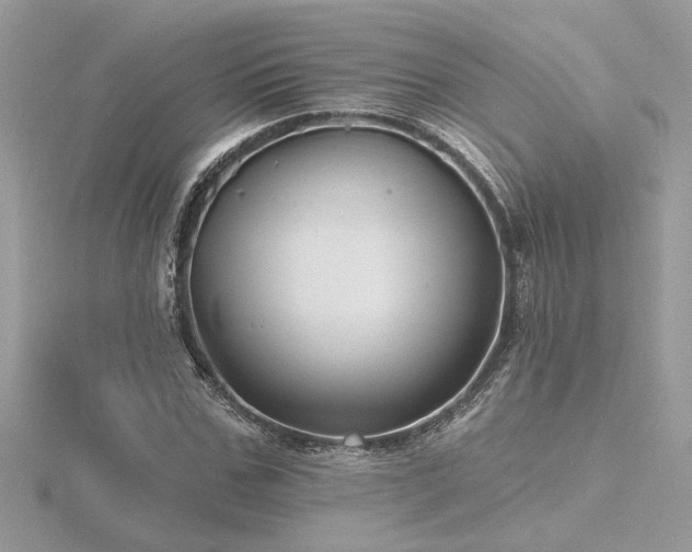 X0000116570971200912101507