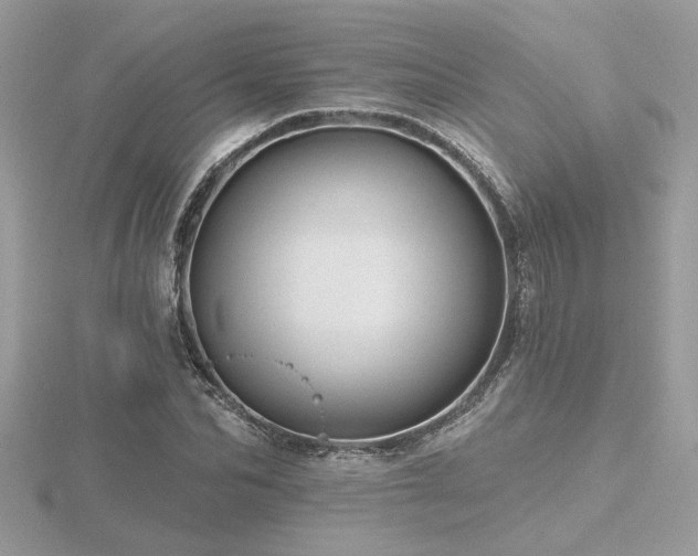 X0000116570974200912101507