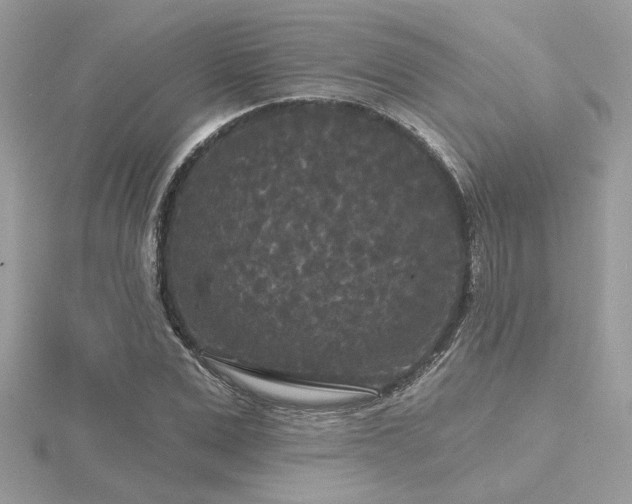 X0000116570975200912101507